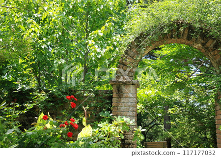 有磚拱門的花園 117177032