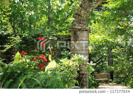 Garden with brick arch Garden with brick arch 117177034