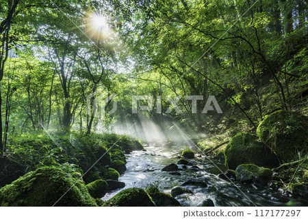 從富士宮市照射到富士山地下水的光線 117177297