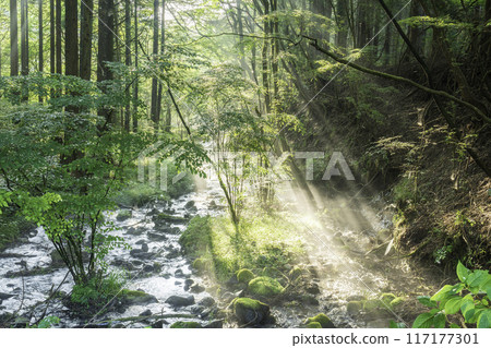 A beam of light shining on the underground waters of Mount Fuji from Fujinomiya City 117177301
