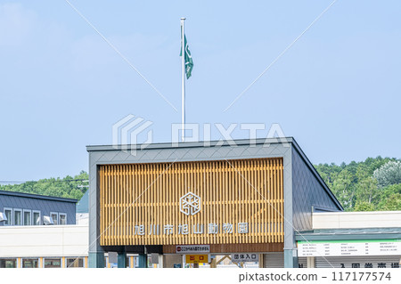 北海道旭川市 — 日本最受歡迎的動物園 — 陽光明媚的日子旭山動物園 北海道旭川市 — 日本最受歡迎的動物園 — 陽光明媚的日子旭山動物園 117177574