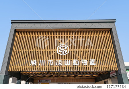 北海道旭川市 — 日本最受歡迎的動物園 — 陽光明媚的日子旭山動物園 北海道旭川市 — 日本最受歡迎的動物園 — 陽光明媚的日子旭山動物園 117177584