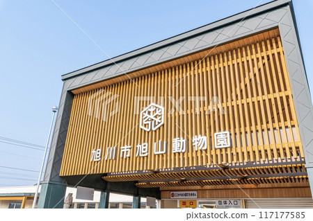 北海道旭川市 — 日本最受歡迎的動物園 — 陽光明媚的日子旭山動物園 北海道旭川市 — 日本最受歡迎的動物園 — 陽光明媚的日子旭山動物園 117177585