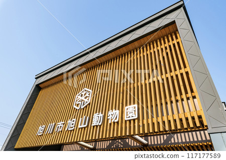 北海道旭川市 — 日本最受歡迎的動物園 — 陽光明媚的日子旭山動物園 117177589