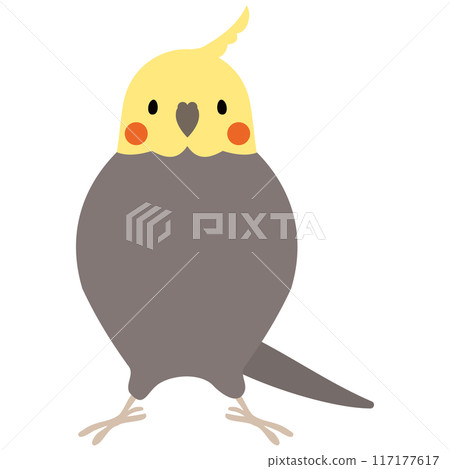 玄鳳鸚鵡 117177617