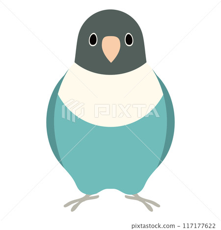 Button parakeet set Button parakeet set 117177622