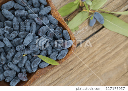 Borealis Honeyberry berries situated on rustic wooden table 117177957