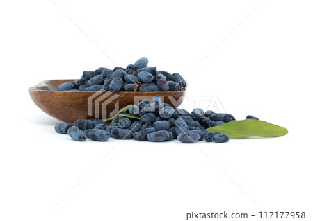 Honeyberry haskap berries isolated on white background 117177958