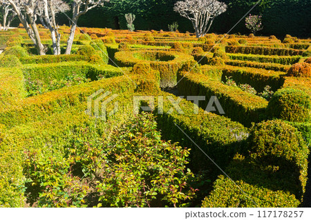 Beautiful romantic garden of Mateus palace, Portugal 117178257