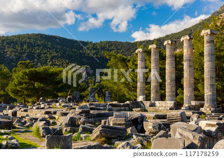 Ruins of Temple of Athena of Priene at foot of escarpment of Mycale, Turkey Ruins of Temple of Athena of Priene at foot of escarpment of Mycale, Turkey 117178259