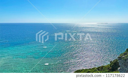 沖繩縣宇流麻市宮城卡夫班塔米永 117178622