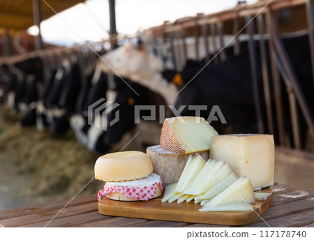 Various natural cheeses on wooden table in outdoor cowshed Various natural cheeses on wooden table in outdoor cowshed 117178740
