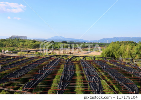 上屋橋（俗稱京都府八幡市流橋），儘管被沖毀了24次。 117179104