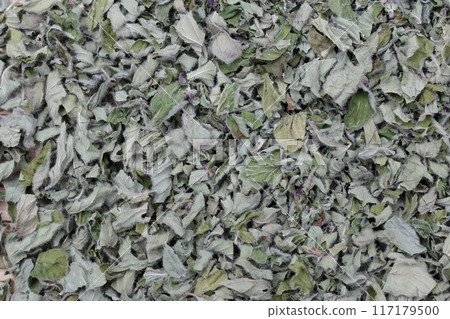 Organic Herb Dried Oregano Leaves Organic Herb Dried Oregano Leaves 117179500