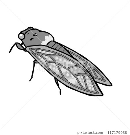 Semi illustration 117179988