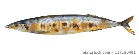 鹽烤劍魚的水彩插圖 鹽烤劍魚的水彩插圖 117180491