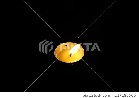 Candle 2 Candle 2 117180509