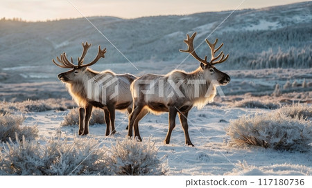 deer in winter mountains 117180736