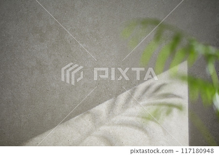 A gray-toned tile background with various props with sunlight coming through the window. 117180948