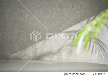 A gray-toned tile background with various props with sunlight coming through the window. 117180954