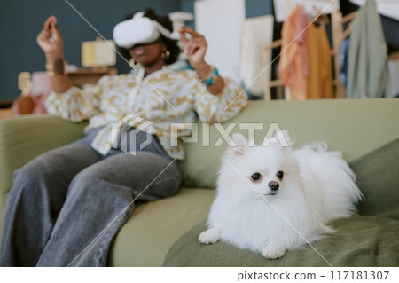 Person enjoying virtual reality experience while sitting on sofa with calm white dog beside Person enjoying virtual reality experience while sitting on sofa with calm white dog beside 117181307