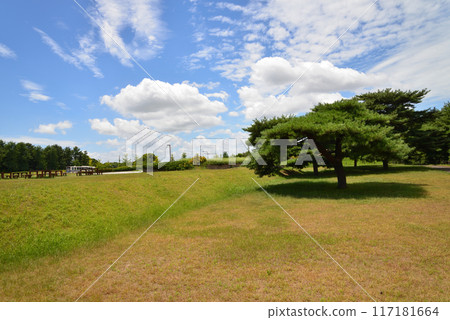 Hitachi Seaside Park 2023-8-12 #75 Hitachi Seaside Park 2023-8-12 #75 117181664