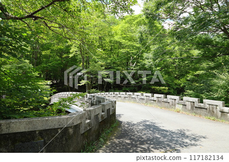 Kiyotaki (Walk around the Kiyotaki River and Kinrei Bridge) / Saga-Kiyotaki area, Ukyo Ward, Kyoto City 117182134