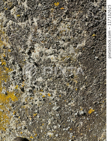 Concrete covered with lichen. 117182625