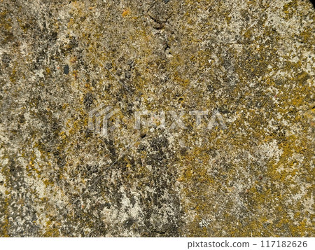 Concrete covered with lichen. 117182626