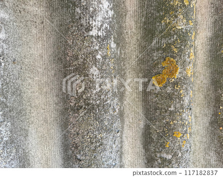 Moss and lichen on old slate. 117182837