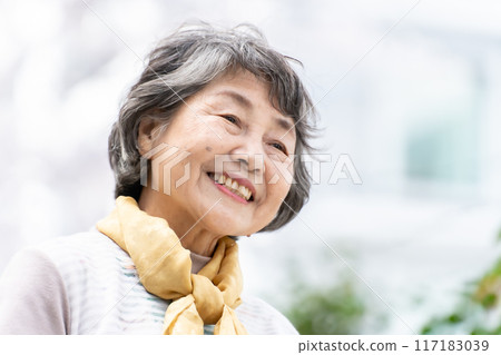 高級女性肖像 117183039