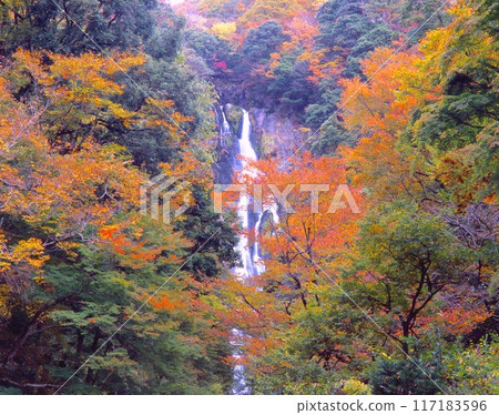 "Japan's 100 Best Waterfalls" Kanba Falls and colorful autumn leaves / "Japan's 100 Best Views" / "Nationally designated place of scenic beauty" "Japan's 100 Best Waterfalls" Kanba Falls and colorful autumn leaves / "Japan's 100 Best Views" / "Nationally designated place of scenic beauty" 117183596