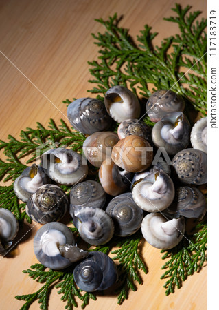 Shellfish Nagarami 117183719