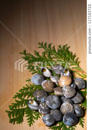 Shellfish Nagarami 117183728