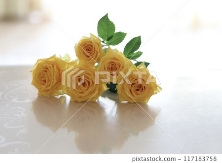 Rose   Rose   117183758