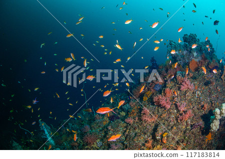 The hidden east 117183814