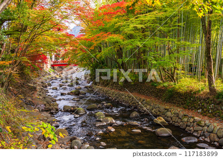 [靜岡縣]秋天的修善寺溫泉，桂川的紅葉 117183899