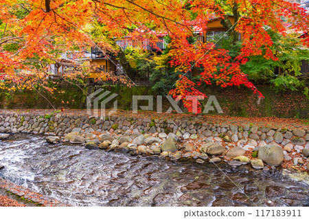 [靜岡縣]秋天的修善寺溫泉，桂川的紅葉 117183911