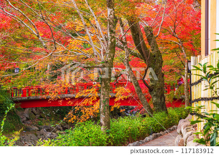 [靜岡縣]秋天的修善寺溫泉，桂川的紅葉 117183912