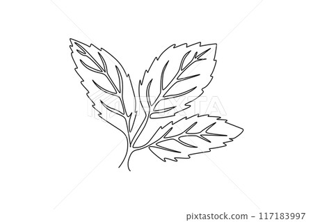 Continuous one line drawing of whole healthy freshness organic mint leaves for farm logo identity. Fresh menthol plant concept for plantation icon. Single line draw design vector graphic illustration 117183997