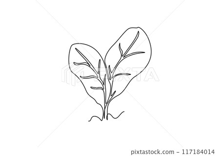Single continuous line drawing of whole healthy organic green spinach leaves for cooking logo identity. Fresh plant concept for edible vegetable icon. One line draw graphic design vector illustration Single continuous line drawing of whole healthy organic green spinach leaves for cooking logo identity. Fresh plant concept for edible vegetable icon. One line draw graphic design vector illustration 117184014