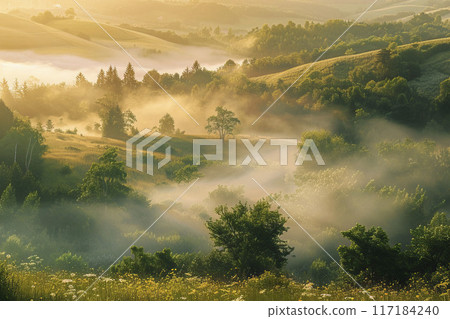 AI-generated item. Beautiful foggy forest with sunbeams. Nature background. 117184240