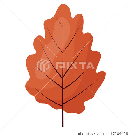 autumn colored bright leaf highlighted on a white background. 117184438