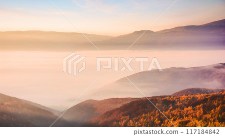 forest on mountain hillside in fog at sunrise. autumnal landscape of ukraine 117184842