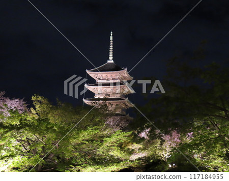 Light up of the five-storied pagoda 117184955