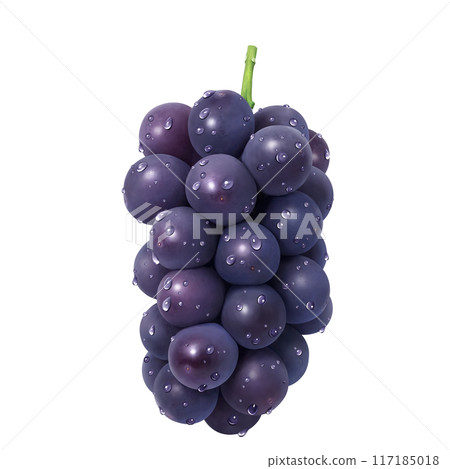巨峰插畫真實葡萄 117185018