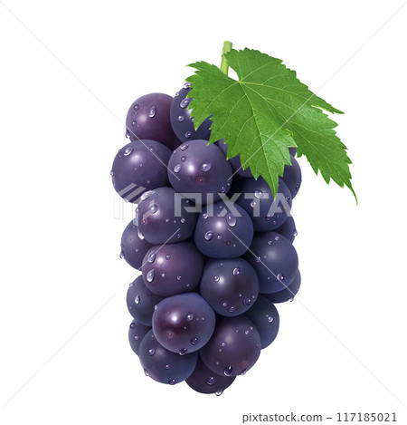 巨峰插畫真實葡萄 117185021