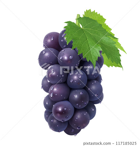 巨峰插畫真實葡萄 巨峰插畫真實葡萄 117185025
