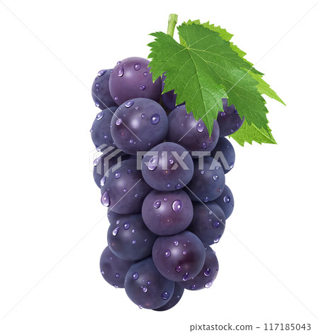 巨峰插畫真實葡萄 117185043