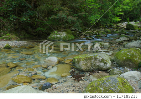 Stream scenery 117185213